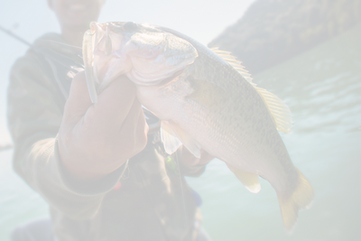 Choosing the Right Line: What Bass Fishing Line Should You Use?