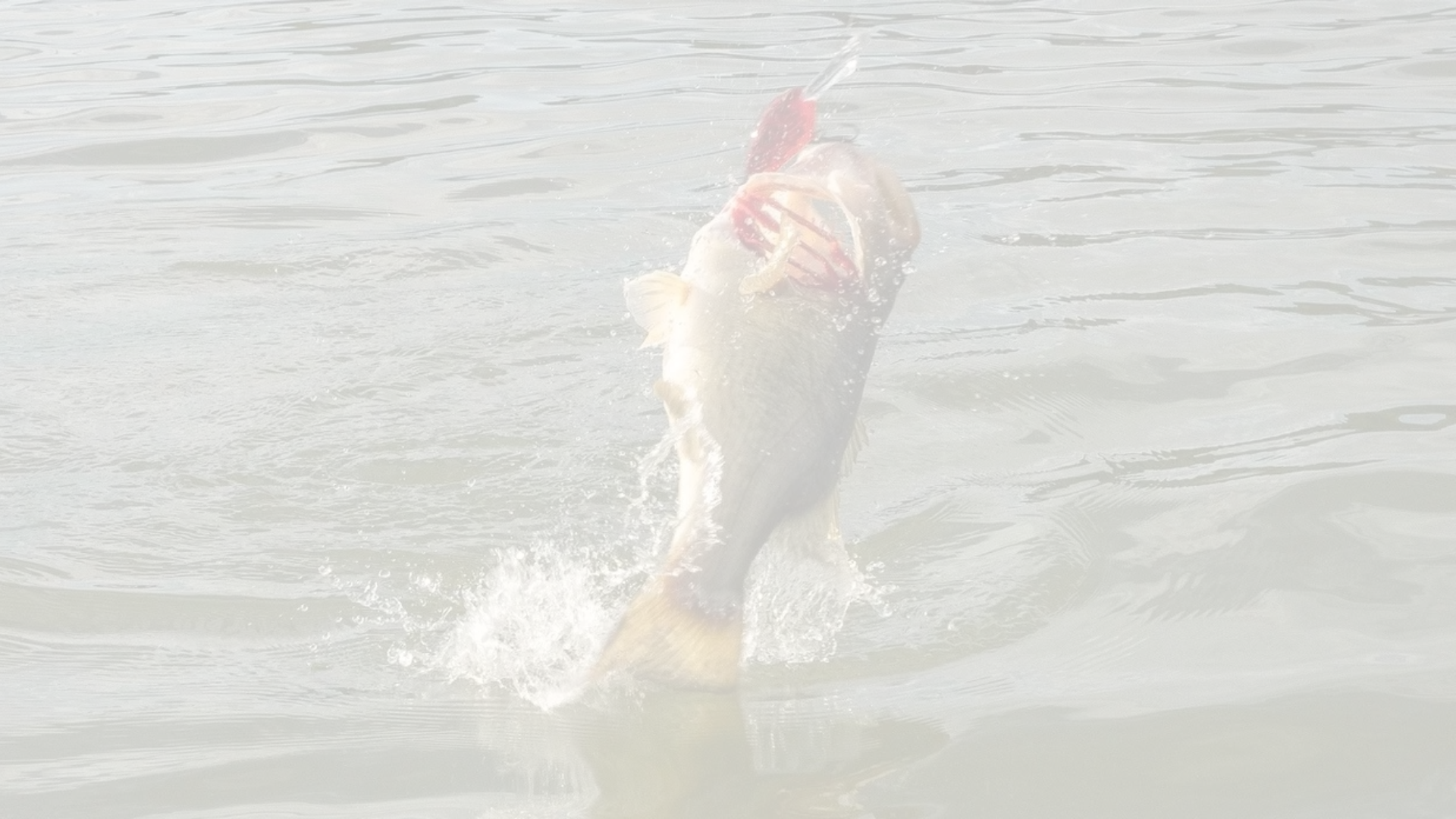 Okuma X-Series Casting Rod Earns Top Rating in 2025 Bass Fishing Gear Comparison