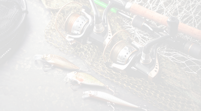 Fishing Reels: The Best Fishing Reel for your Adventures